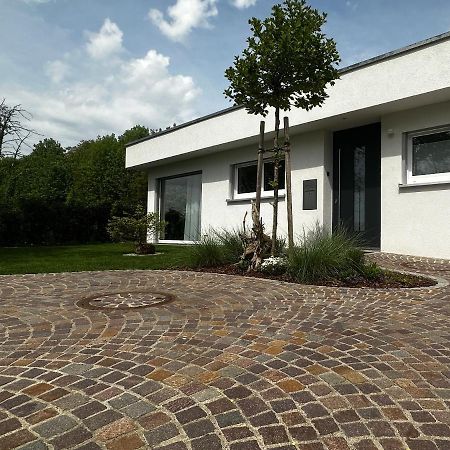 Moderne Ferienwohnung Rhenum Mit Wallbox Waldshut-Tiengen Dış mekan fotoğraf
