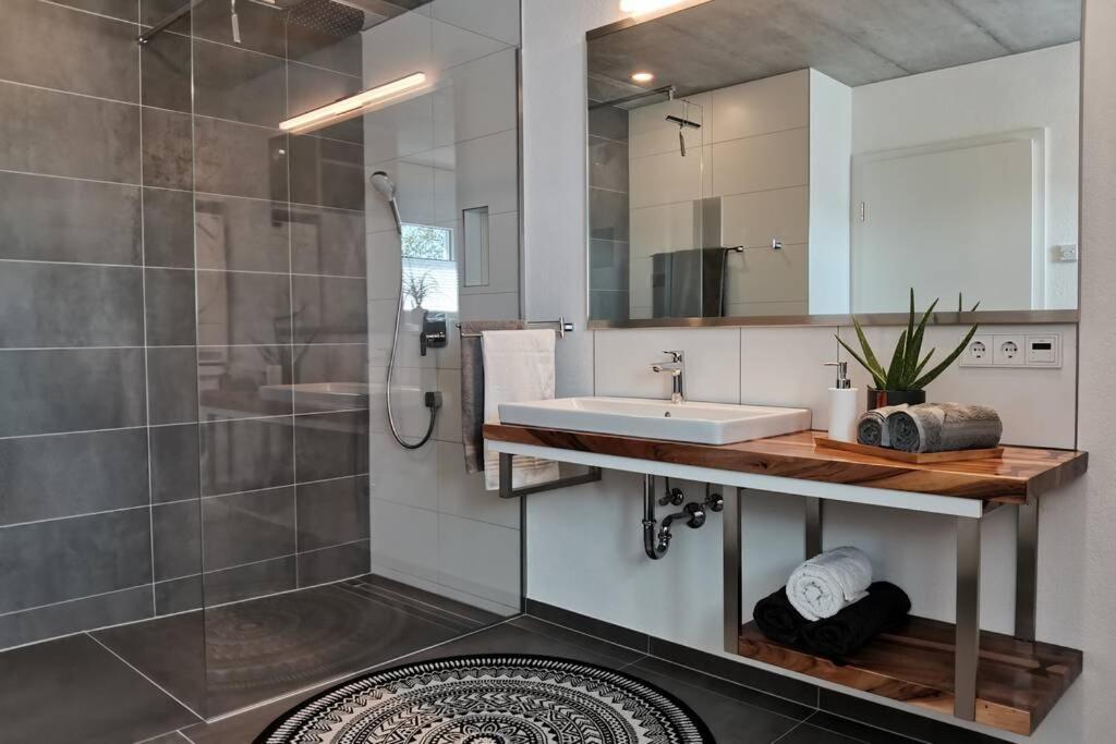 Moderne Ferienwohnung Rhenum Mit Wallbox Waldshut-Tiengen Dış mekan fotoğraf
