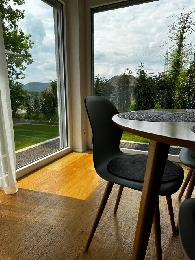 Moderne Ferienwohnung Rhenum Mit Wallbox Waldshut-Tiengen Dış mekan fotoğraf