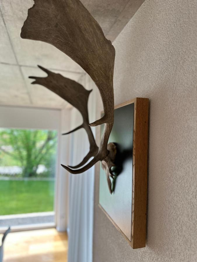 Moderne Ferienwohnung Rhenum Mit Wallbox Waldshut-Tiengen Dış mekan fotoğraf