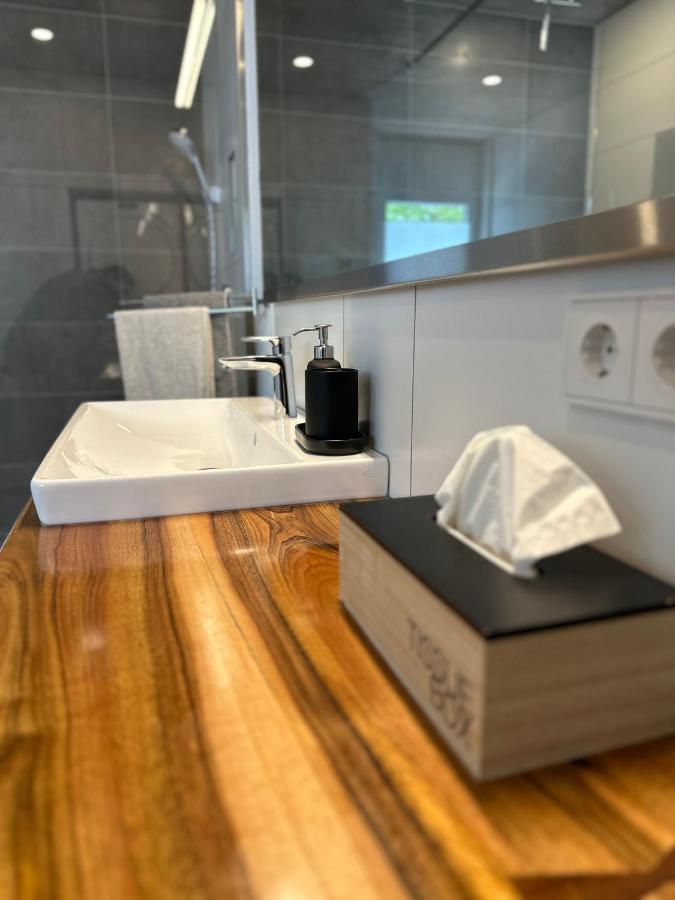 Moderne Ferienwohnung Rhenum Mit Wallbox Waldshut-Tiengen Dış mekan fotoğraf