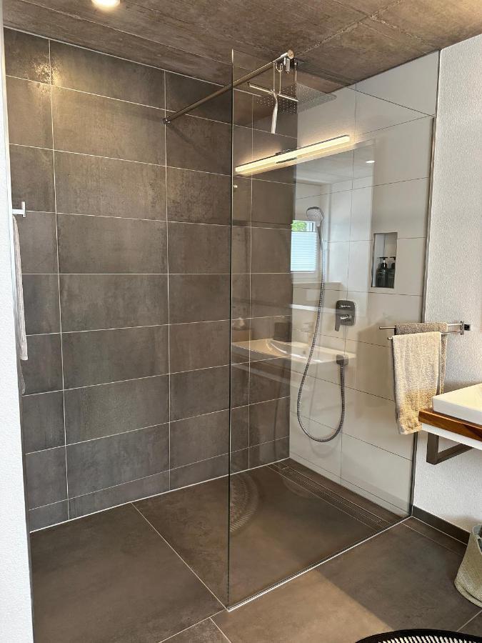 Moderne Ferienwohnung Rhenum Mit Wallbox Waldshut-Tiengen Dış mekan fotoğraf
